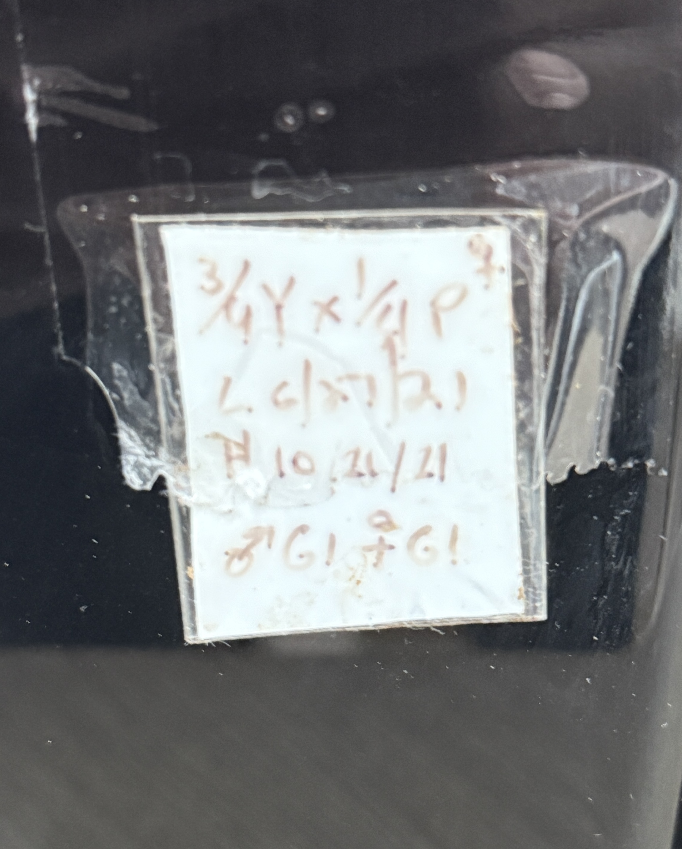 Leapin Leachies - タイプ A (F) detail 3