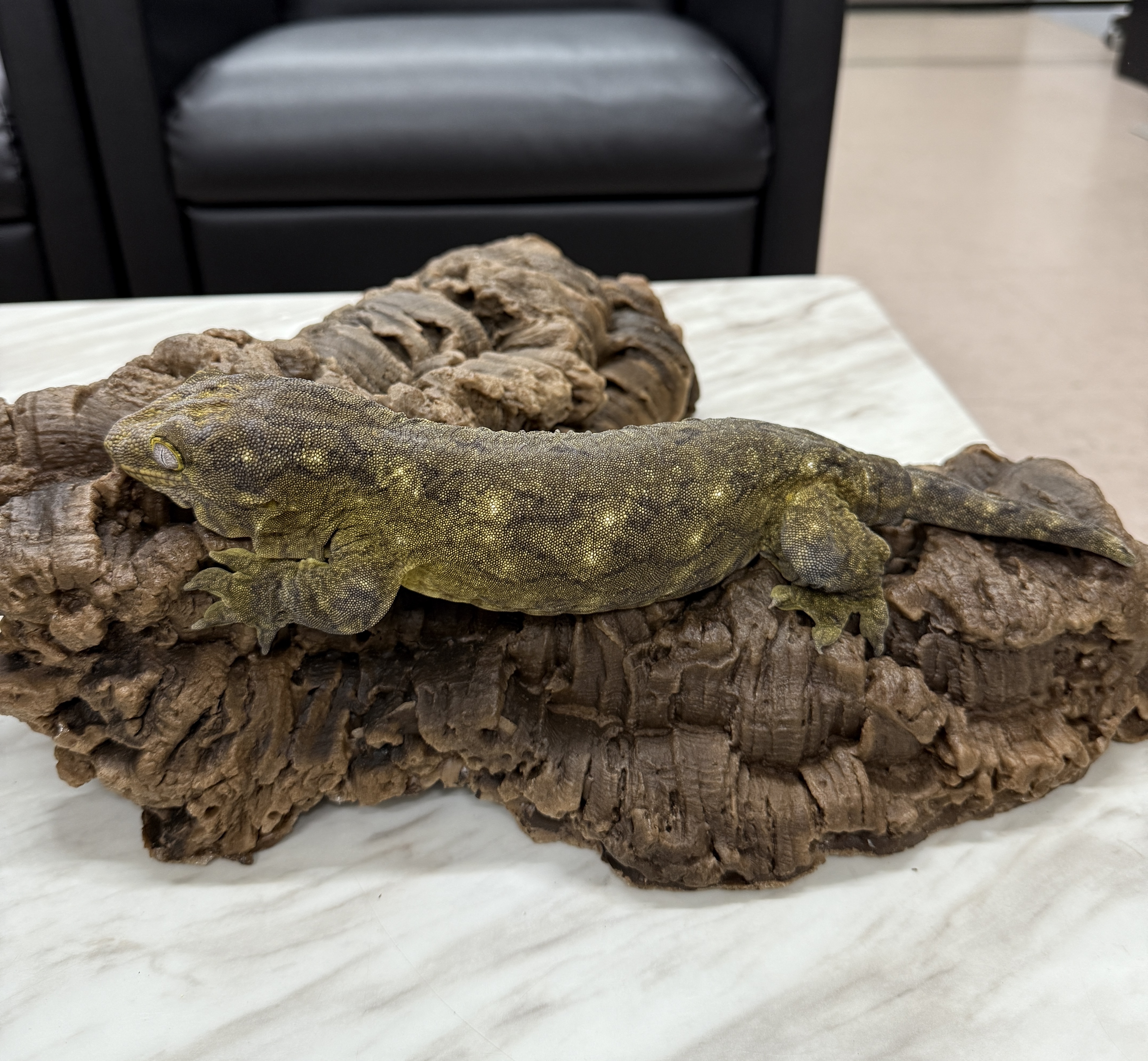 Leapin Leachies - ヤテ (F) detail 1