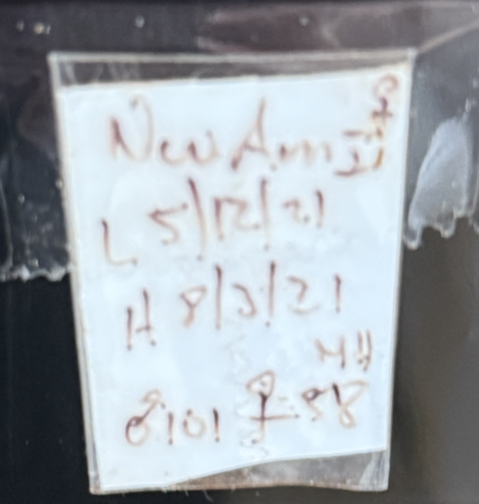 Leapin Leachies - ヌアミ (F) detail 1