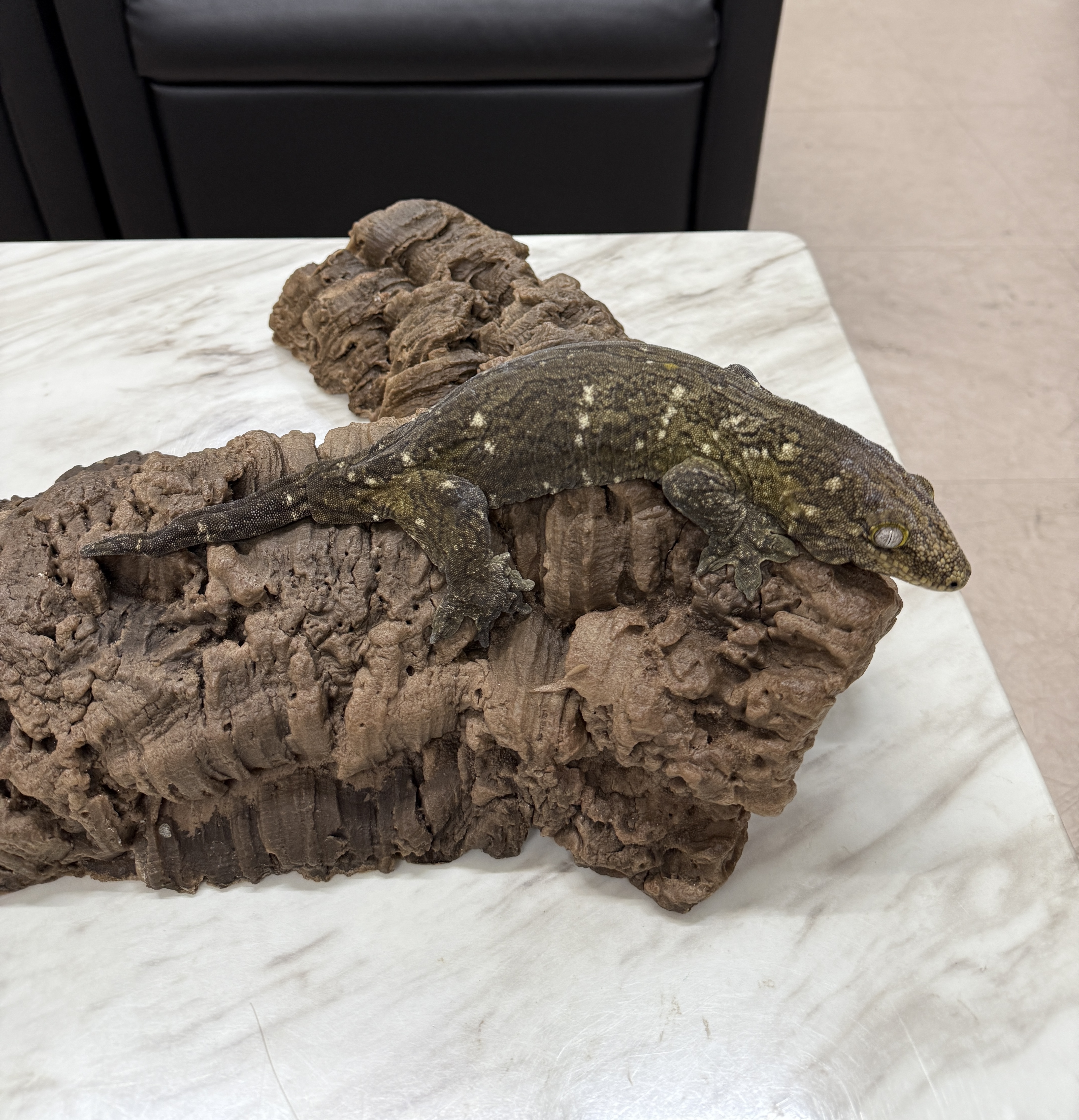 Leapin Leachies - タイプ C x タイプ A (F) detail 2