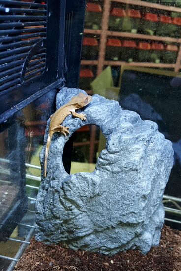 JIF センスロック用 ロックシェルター detail 2