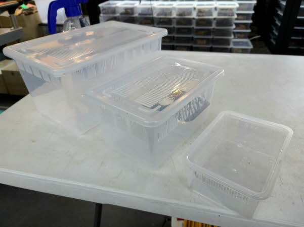 JIF 6面通気 積み重ね式 飼育ケース（中） detail 2