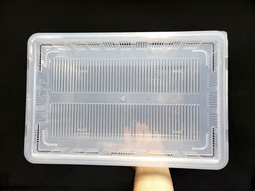 JIF 6面通気 クリア 積み重ね式飼育ケース（大） detail 1