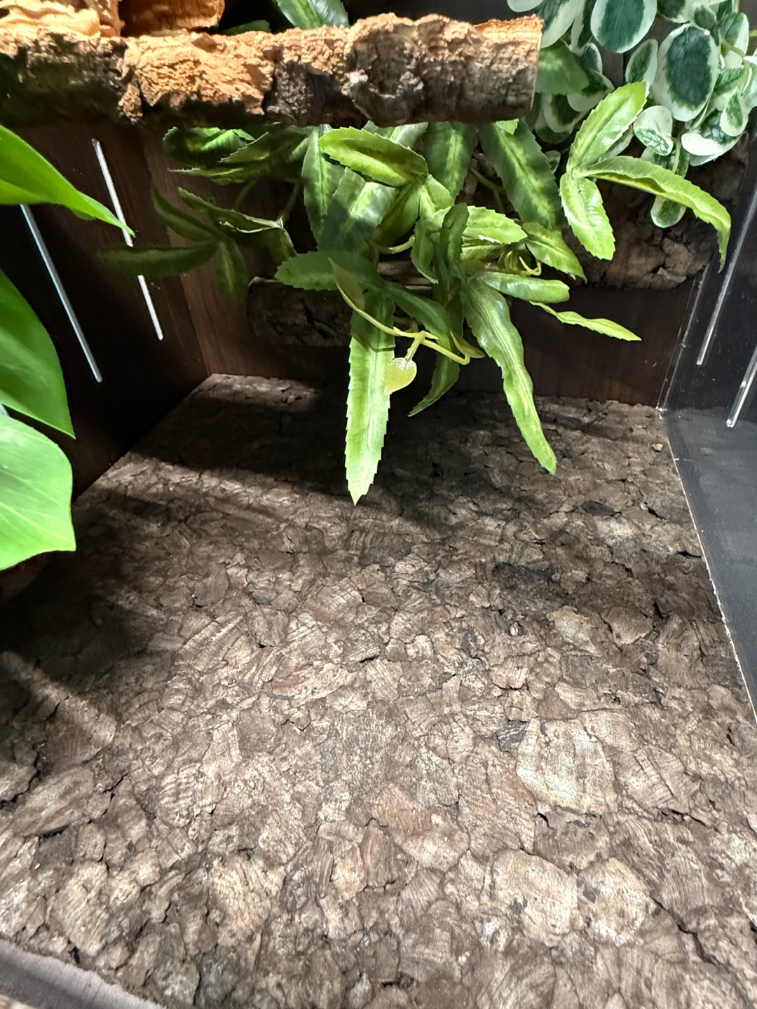 テラブロック 30×30×45 アクリル飼育ケージ シグネチャー フルセット detail 4