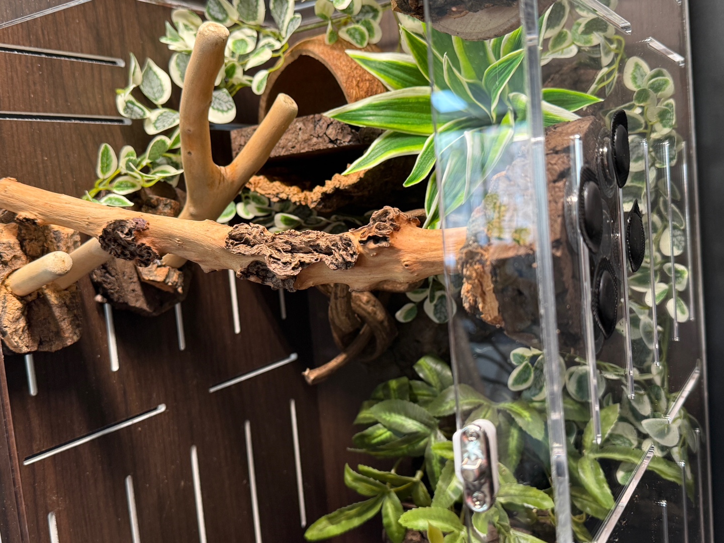 テラブロック 30×30×45 アクリル飼育ケージ シグネチャー フルセット detail 6