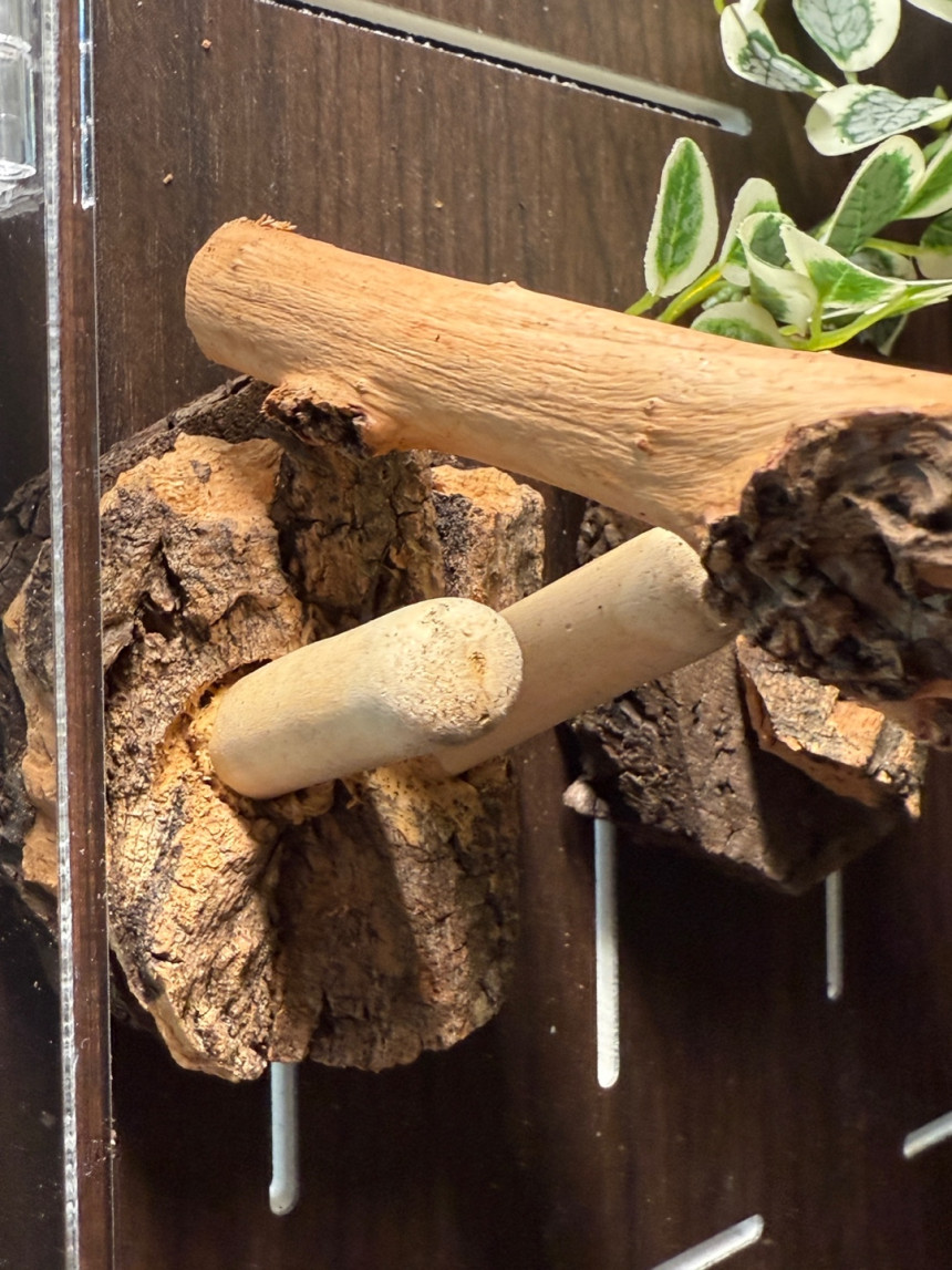 テラブロック 30×30×45 アクリル飼育ケージ シグネチャー フルセット detail 7