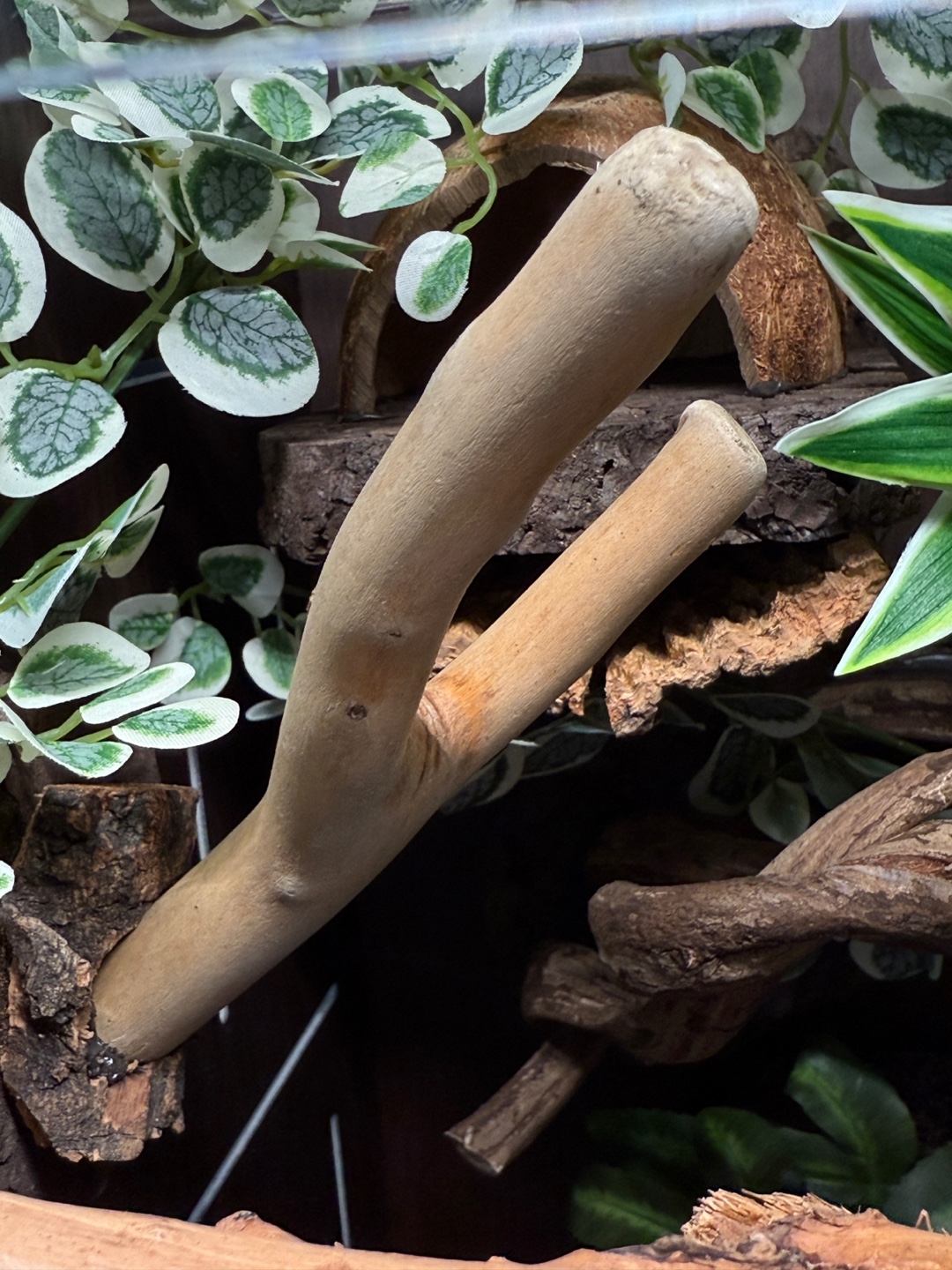 テラブロック 30×30×45 アクリル飼育ケージ シグネチャー フルセット detail 8