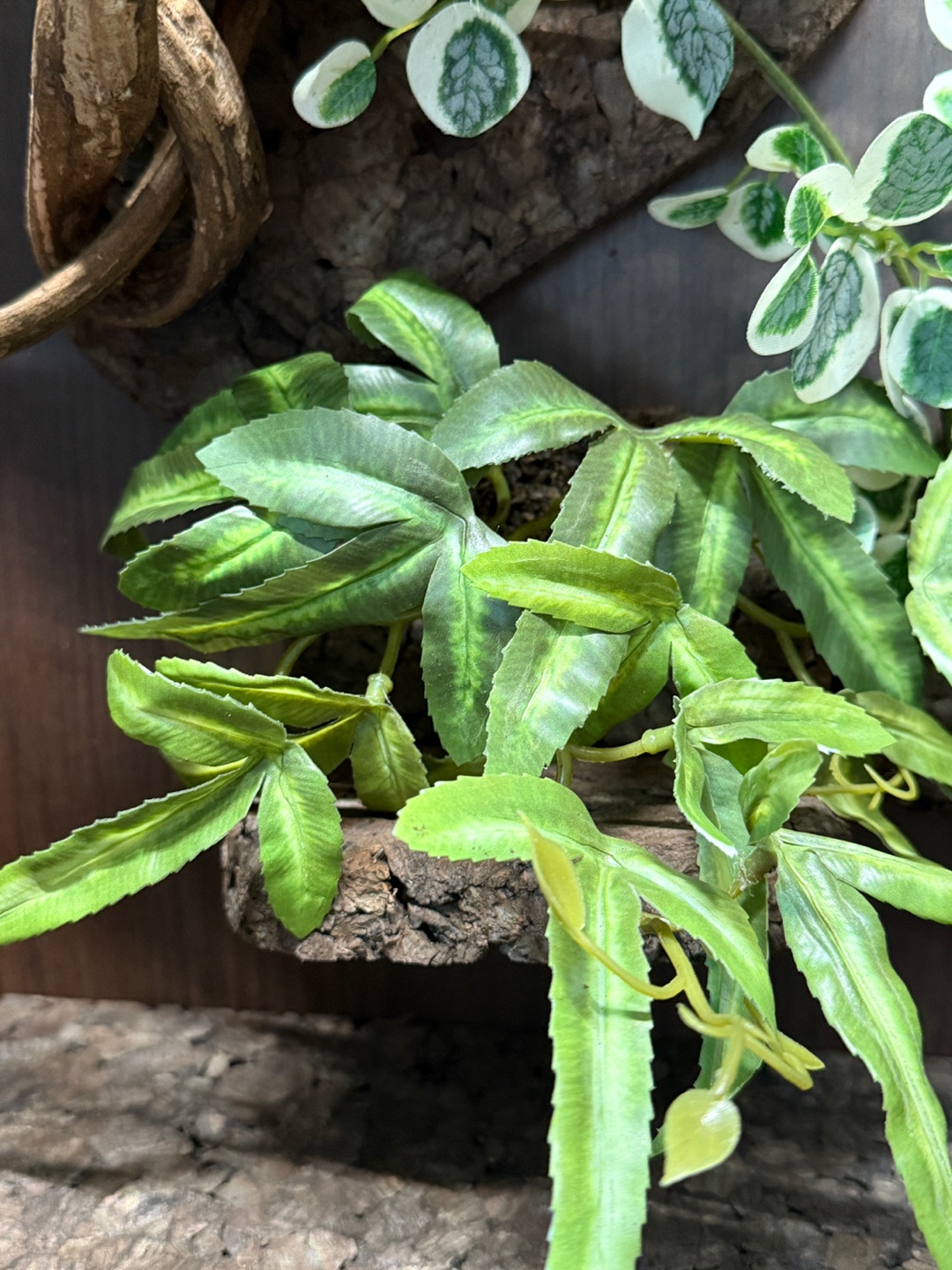 テラブロック 30×30×45 アクリル飼育ケージ シグネチャー フルセット detail 10