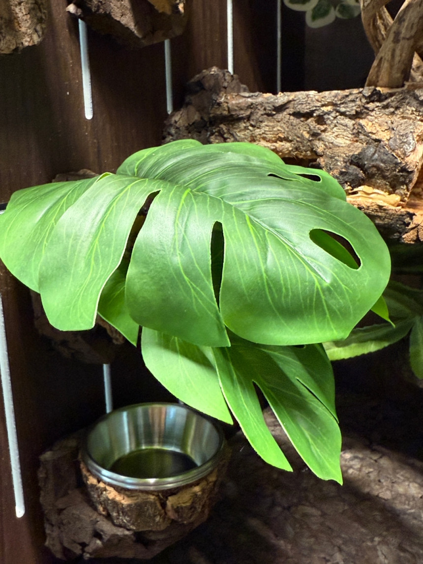 テラブロック 30×30×45 アクリル飼育ケージ シグネチャー フルセット detail 12