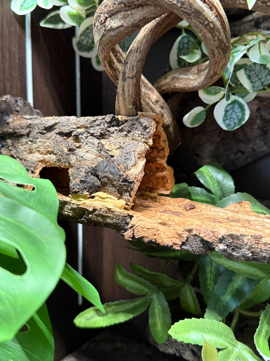 テラブロック 30×30×45 アクリル飼育ケージ シグネチャー フルセット detail 13