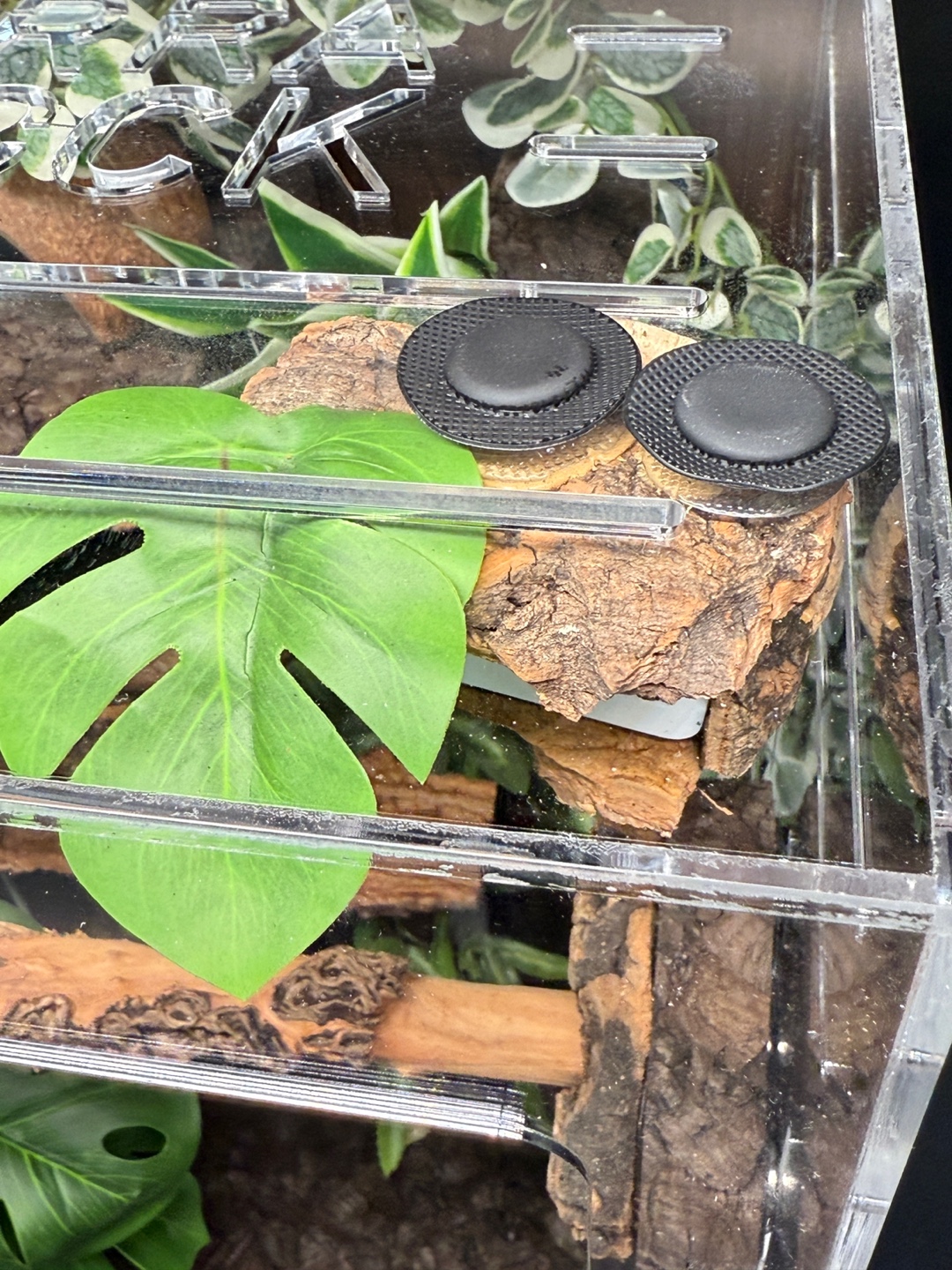 テラブロック 30×30×45 アクリル飼育ケージ シグネチャー フルセット detail 14