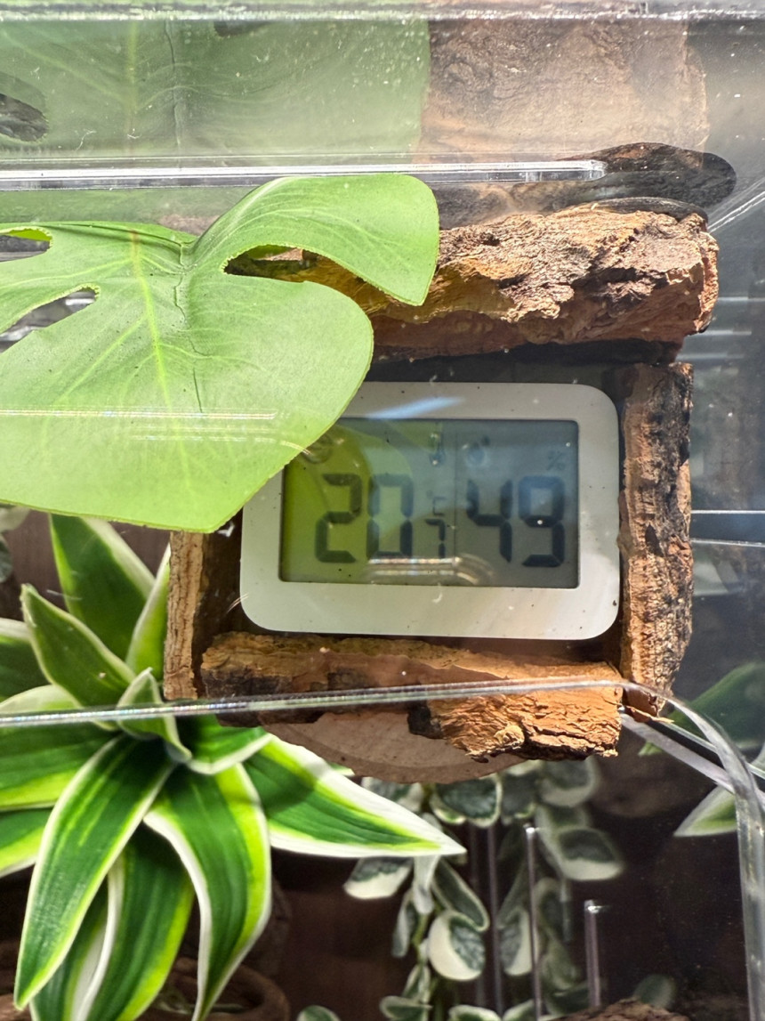 テラブロック 30×30×45 アクリル飼育ケージ シグネチャー フルセット detail 15