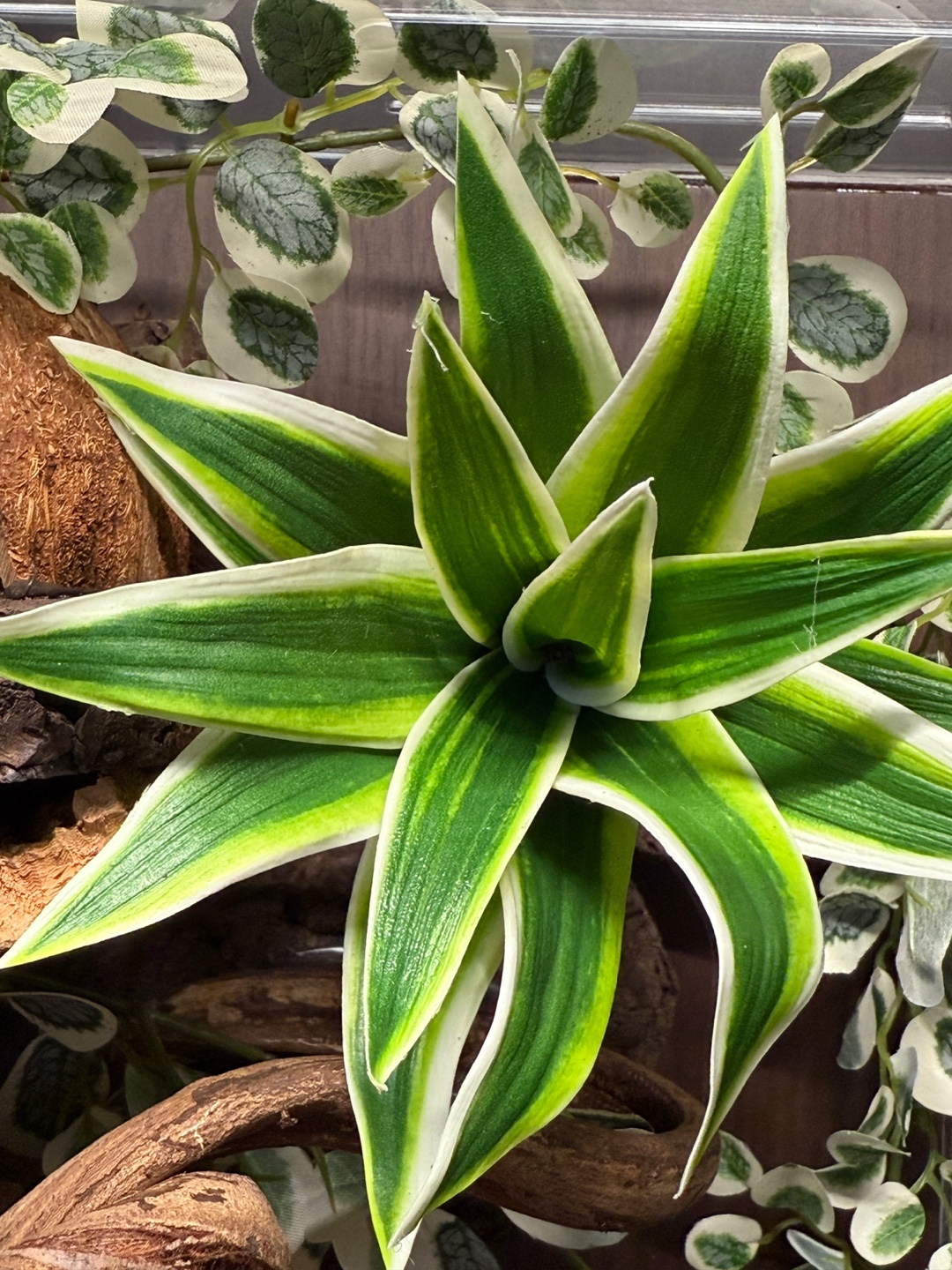 テラブロック 30×30×45 アクリル飼育ケージ シグネチャー フルセット detail 16