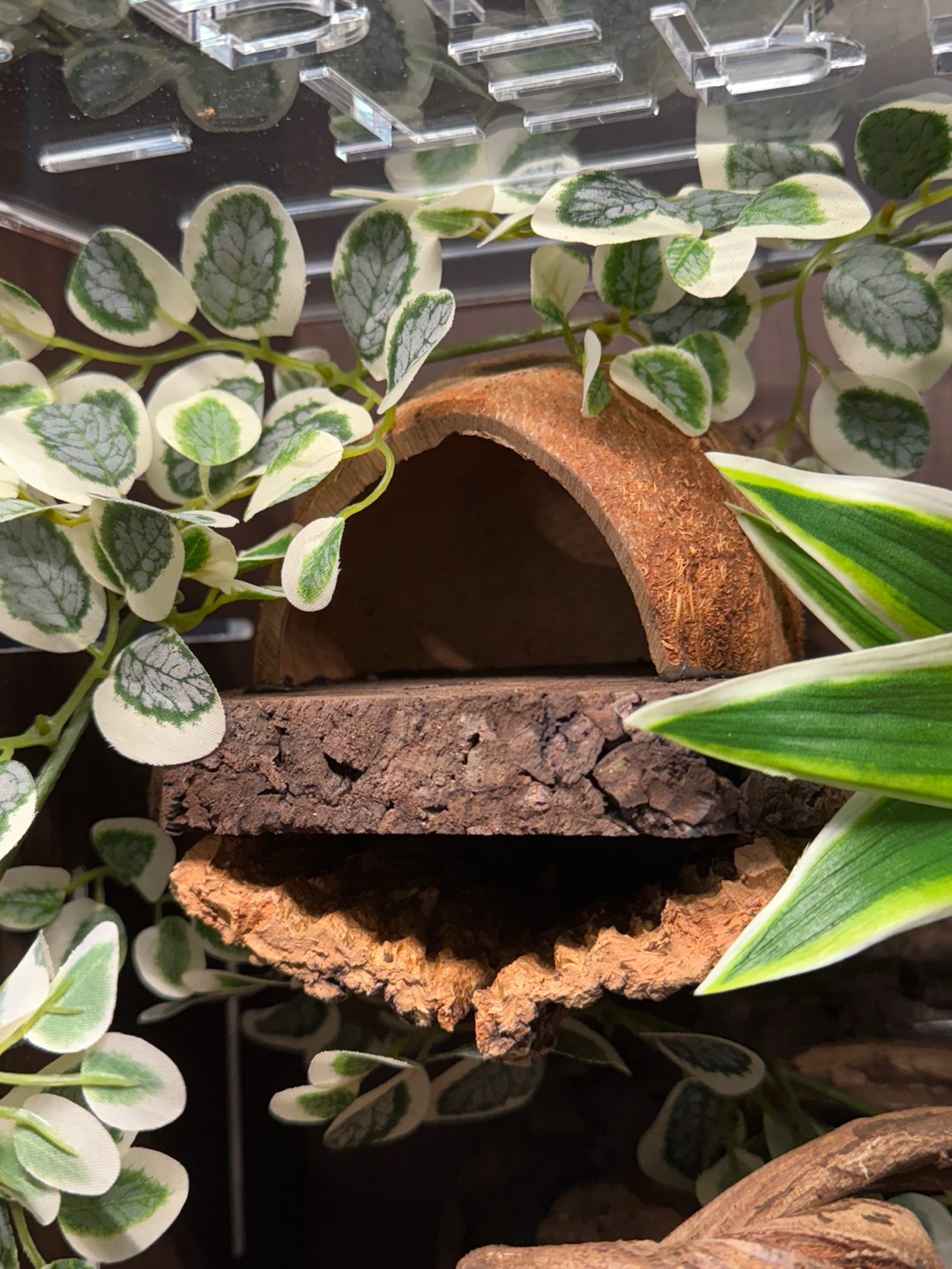 テラブロック 30×30×45 アクリル飼育ケージ シグネチャー フルセット detail 17