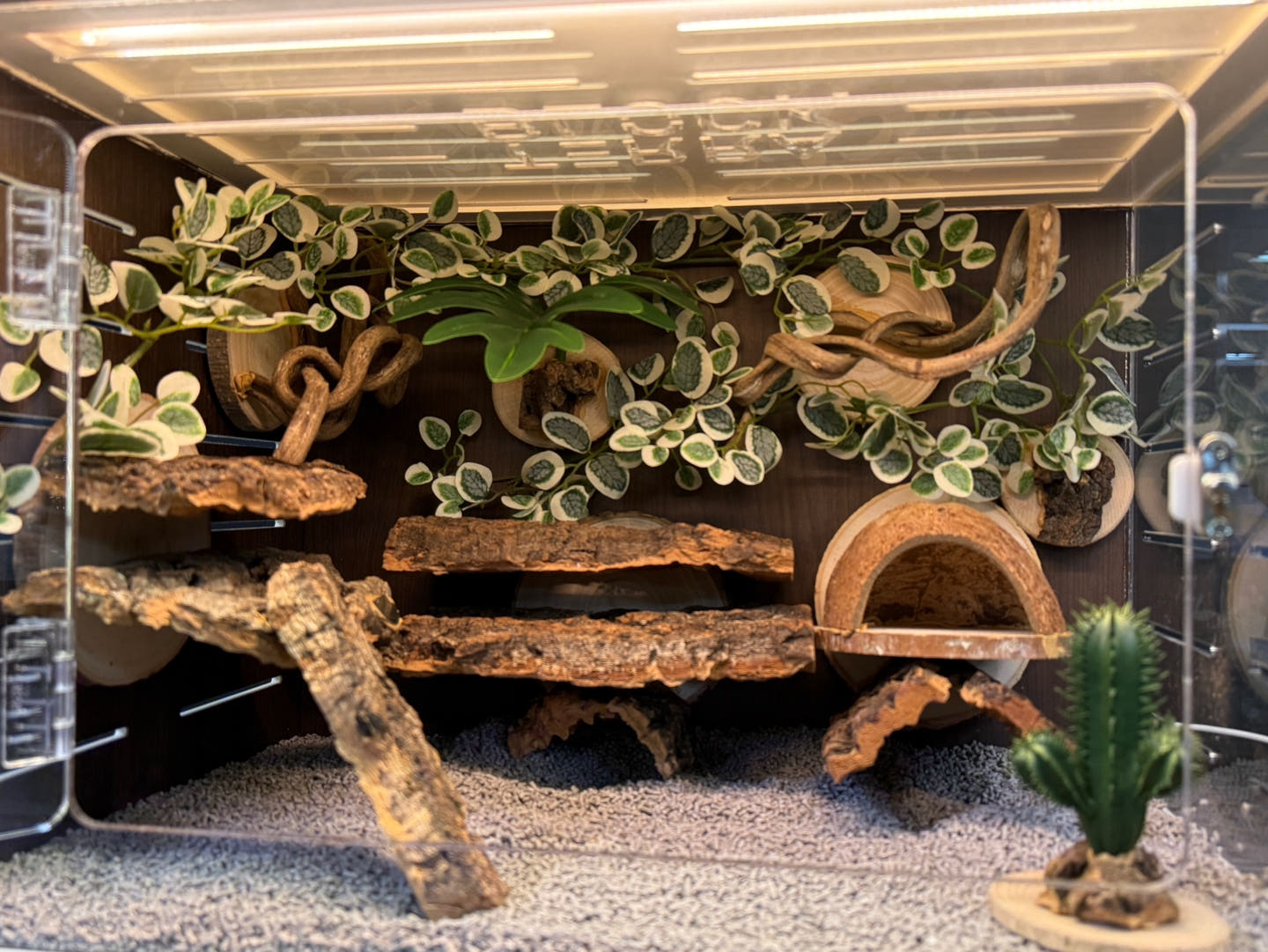 テラブロック 45×30×30 アクリル飼育ケージ 地表性レプタイル用フルセット detail 1