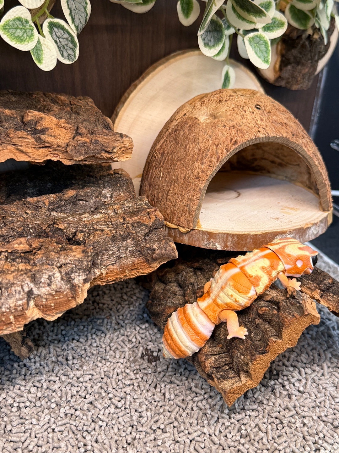 テラブロック 45×30×30 アクリル飼育ケージ 地表性レプタイル用フルセット detail 4