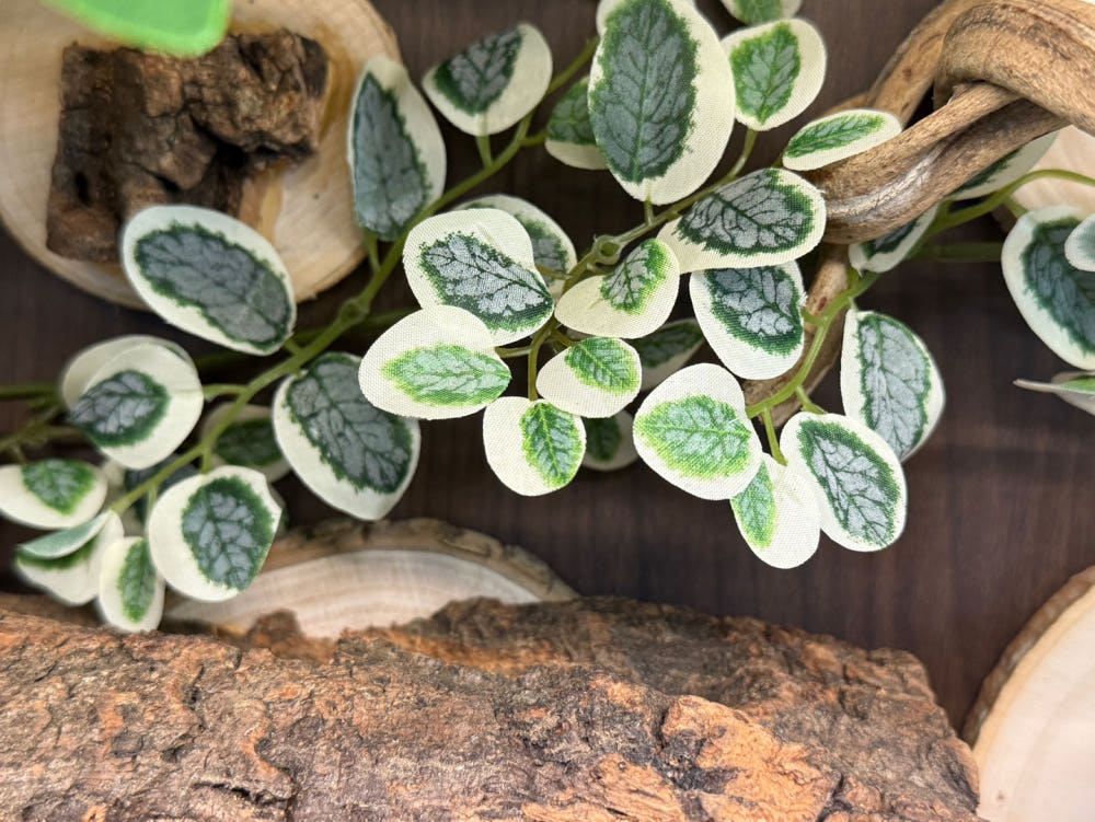 テラブロック 45×30×30 アクリル飼育ケージ 地表性レプタイル用フルセット detail 6