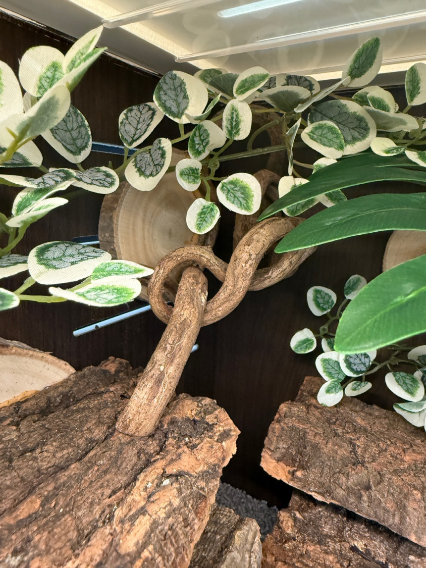 テラブロック 45×30×30 アクリル飼育ケージ 地表性レプタイル用フルセット detail 7