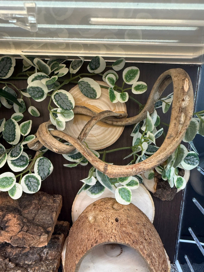 テラブロック 45×30×30 アクリル飼育ケージ 地表性レプタイル用フルセット detail 8