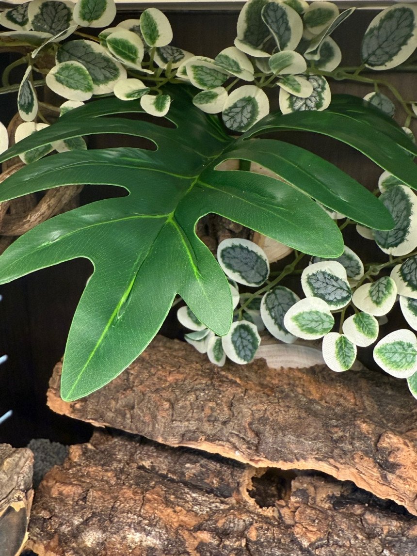 テラブロック 45×30×30 アクリル飼育ケージ 地表性レプタイル用フルセット detail 9