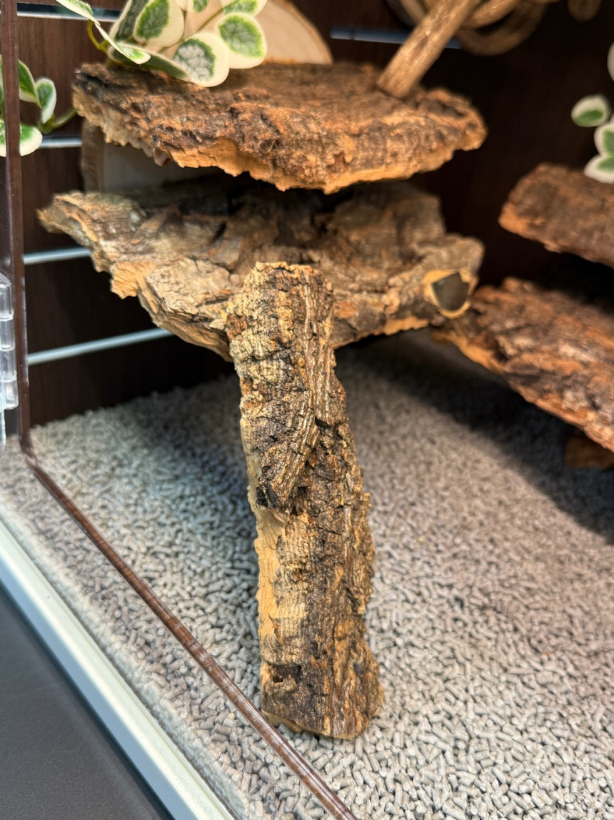 テラブロック 45×30×30 アクリル飼育ケージ 地表性レプタイル用フルセット detail 10