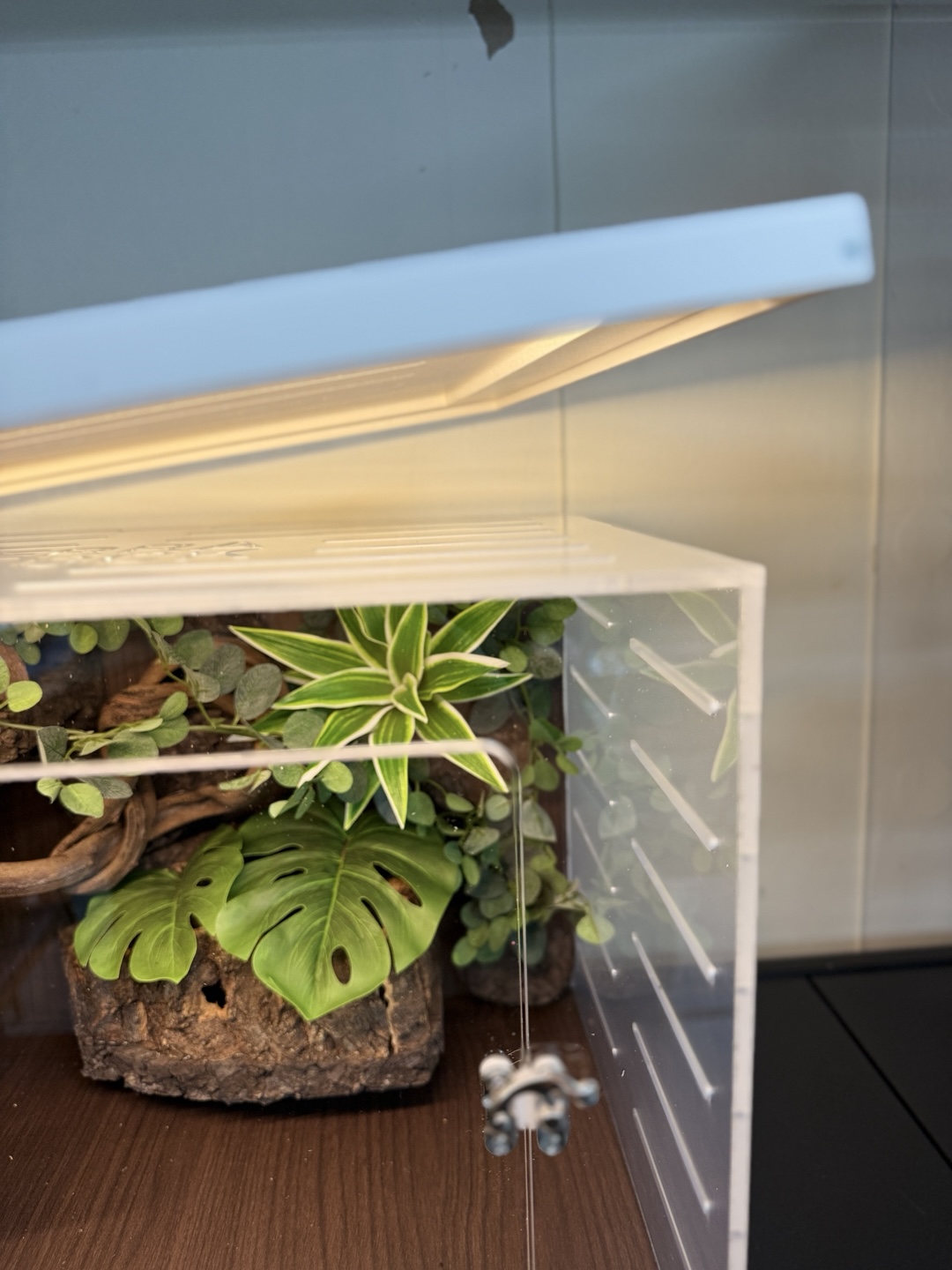 テラブロック 45×30×30 アクリル飼育ケージ 地表性レプタイル用フルセット detail 13