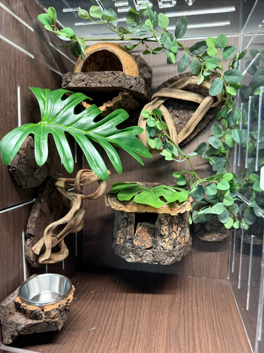 テラブロック 30 × 30 × 45 2 in 1 アクリル飼育ケージ フルセット detail 2