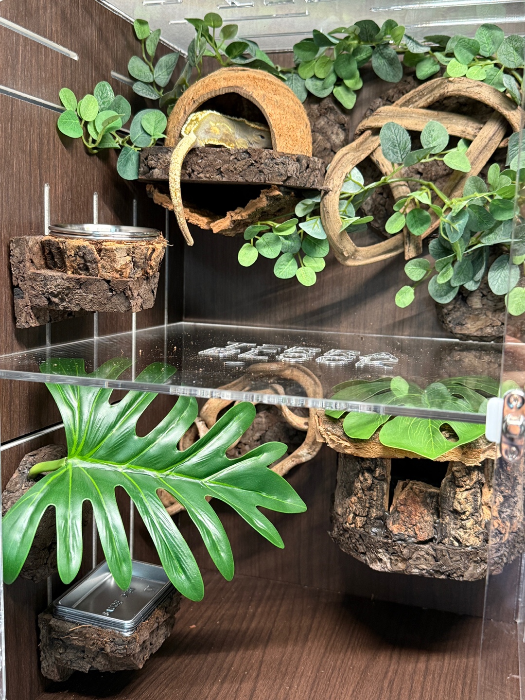 テラブロック 30 × 30 × 45 2 in 1 アクリル飼育ケージ フルセット detail 3