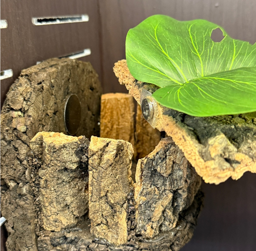 テラブロック 30 × 30 × 45 2 in 1 アクリル飼育ケージ フルセット detail 5