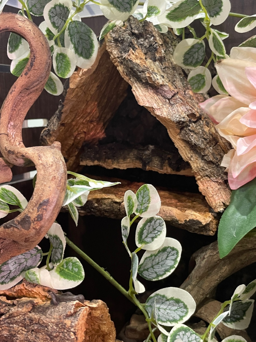 テラブロック 30×30×45 アクリル飼育ケージ フルセット（2面レイアウト仕様） detail 1