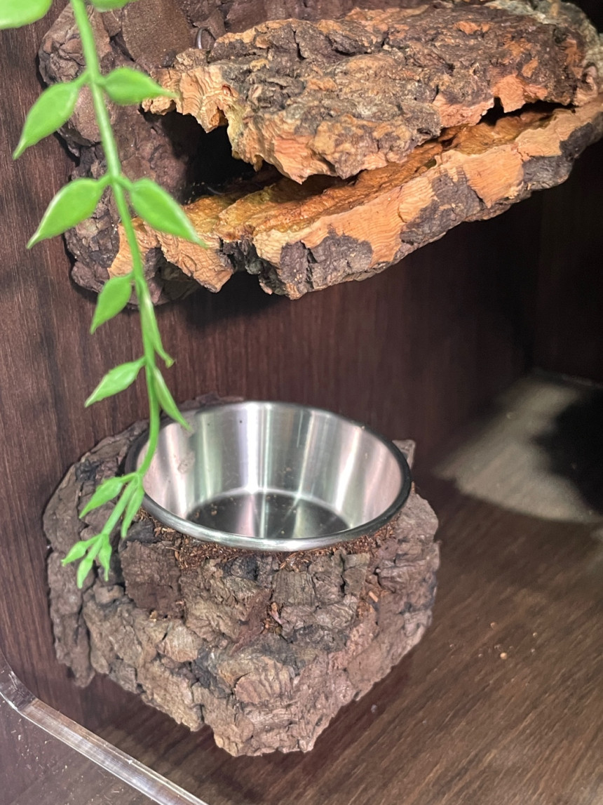 テラブロック 30×30×45 アクリル飼育ケージ フルセット（2面レイアウト仕様） detail 2