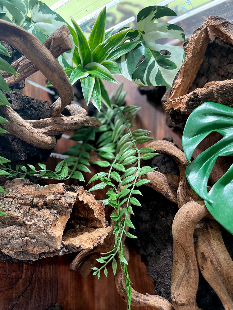 テラブロック 30×30×45 アクリル飼育ケージ 2面レイアウト仕様 ツル流木＆人工植物フルセット detail 1