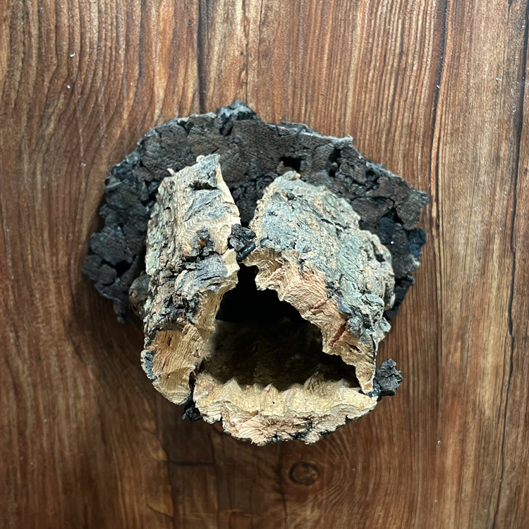 テラブロック 30×30×45 アクリル飼育ケージ 2面レイアウト仕様 ツル流木＆人工植物フルセット detail 5