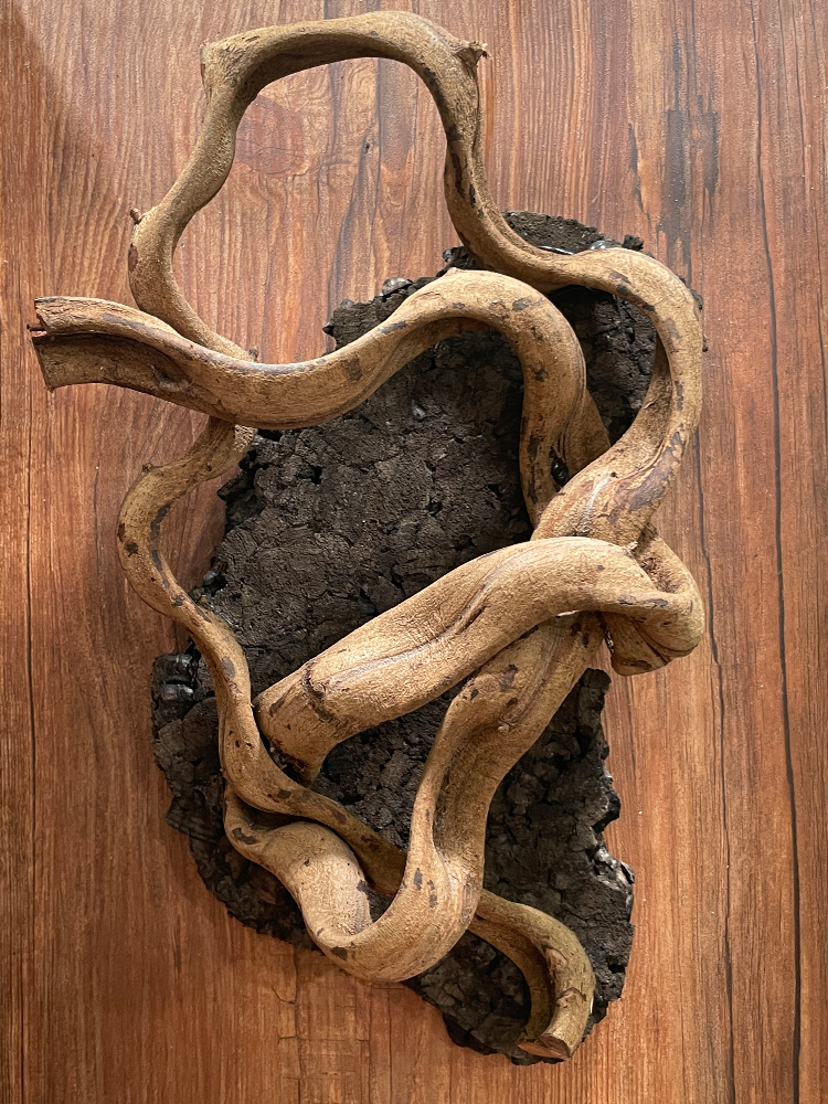 テラブロック 30×30×45 アクリル飼育ケージ 2面レイアウト仕様 ツル流木＆人工植物フルセット detail 6