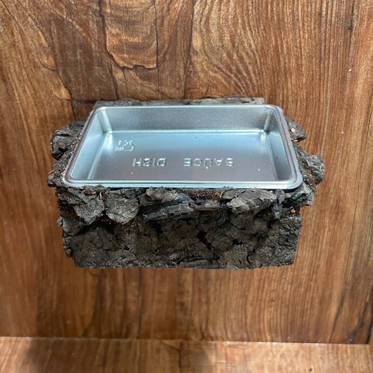 テラブロック 30×30×45 アクリル飼育ケージ 2面レイアウト仕様 ツル流木＆人工植物フルセット detail 7