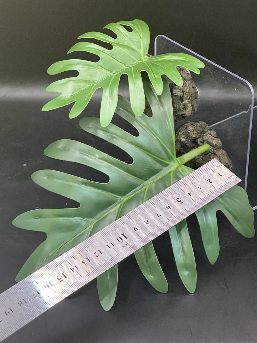 テラブロック 30×30×45 アクリル飼育ケージ 2面レイアウト仕様 ツル流木＆人工植物フルセット detail 10