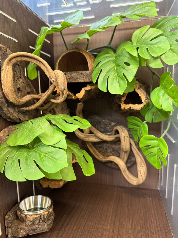 Terrablock 30 × 30 × 45 Acrylic Enclosure – Monstera Forest Full Set (Dual-Side Layout) detail 1