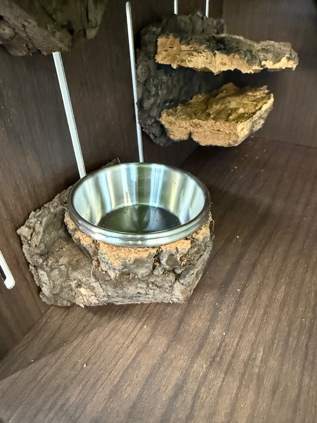 Terrablock 30 × 30 × 45 Acrylic Enclosure – Monstera Forest Full Set (Dual-Side Layout) detail 3