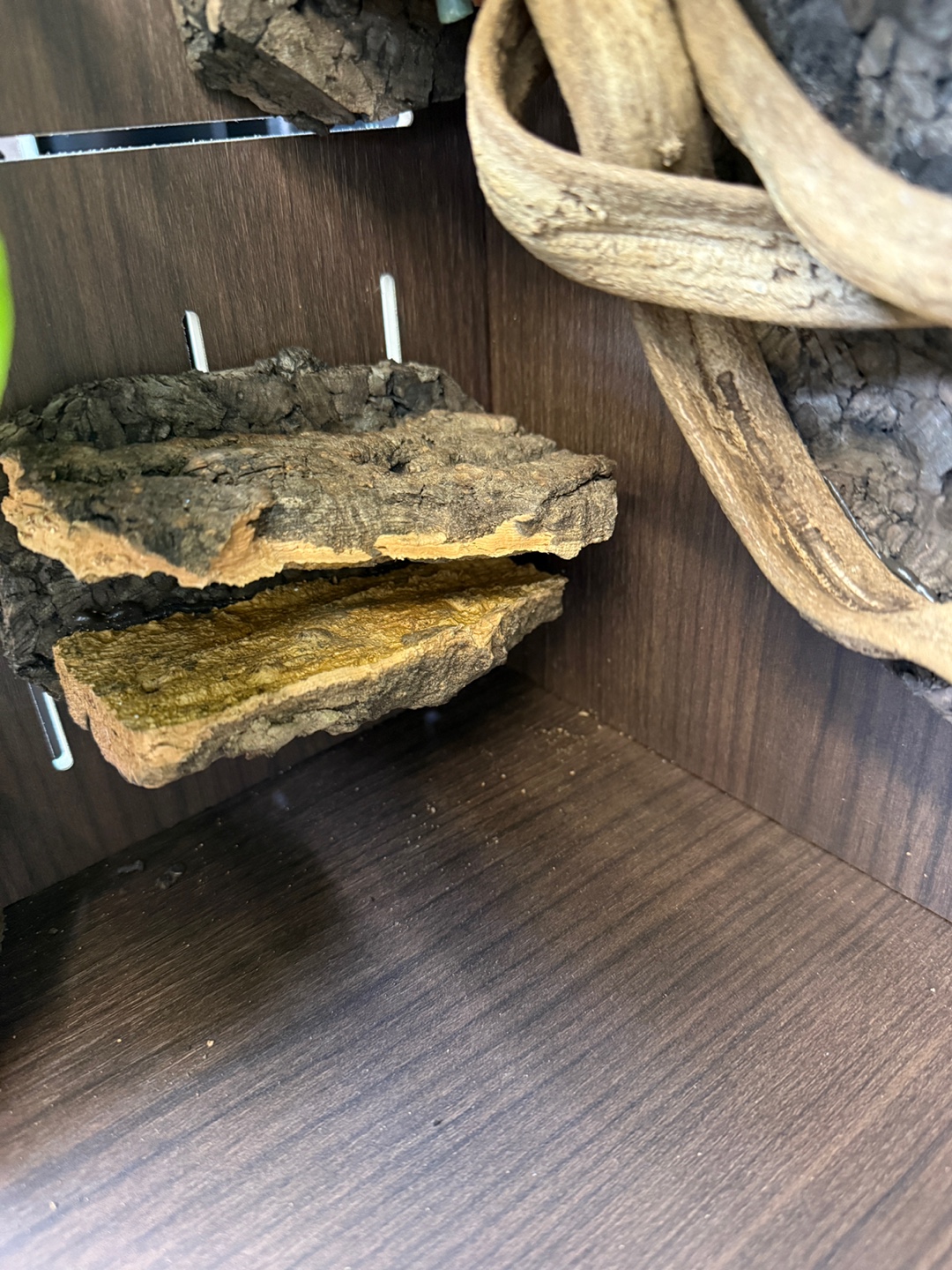 Terrablock 30 × 30 × 45 Acrylic Enclosure – Monstera Forest Full Set (Dual-Side Layout) detail 4