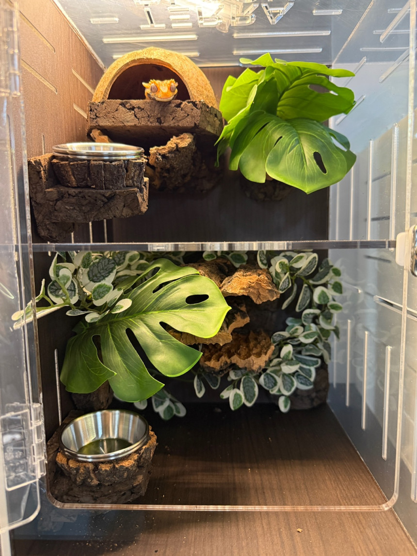 テラブロック 25×25×38 2in1 アクリル飼育ケージ フルセット detail 1