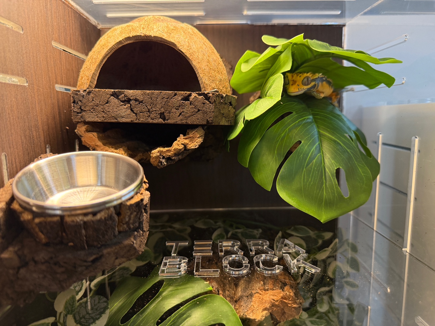 テラブロック 25×25×38 2in1 アクリル飼育ケージ フルセット detail 2