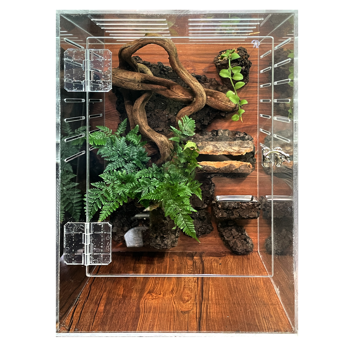 テラブロック 30 × 30 × 45 アクリル飼育ケージ ツル流木 バックスクリーン フルセット detail 1