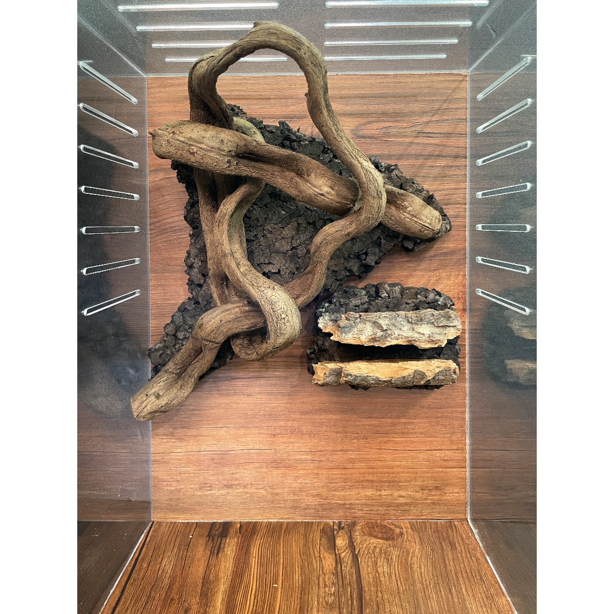 テラブロック 30 × 30 × 45 アクリル飼育ケージ ツル流木 バックスクリーン フルセット detail 2