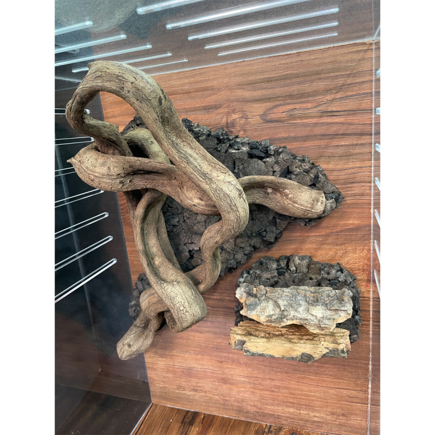 テラブロック 30 × 30 × 45 アクリル飼育ケージ ツル流木 バックスクリーン フルセット detail 3