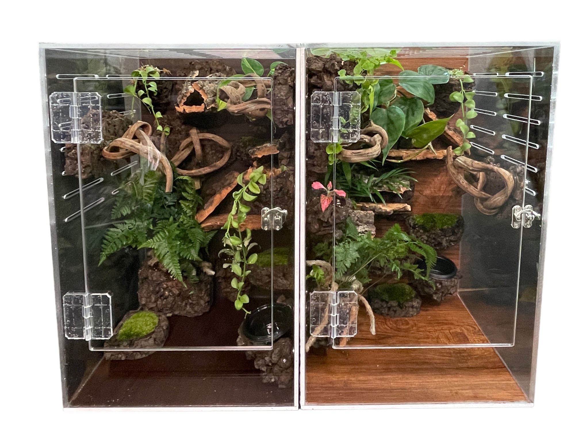 テラブロック 30 × 30 × 45 アクリル飼育ケージ ツル流木 バックスクリーン フルセット detail 4