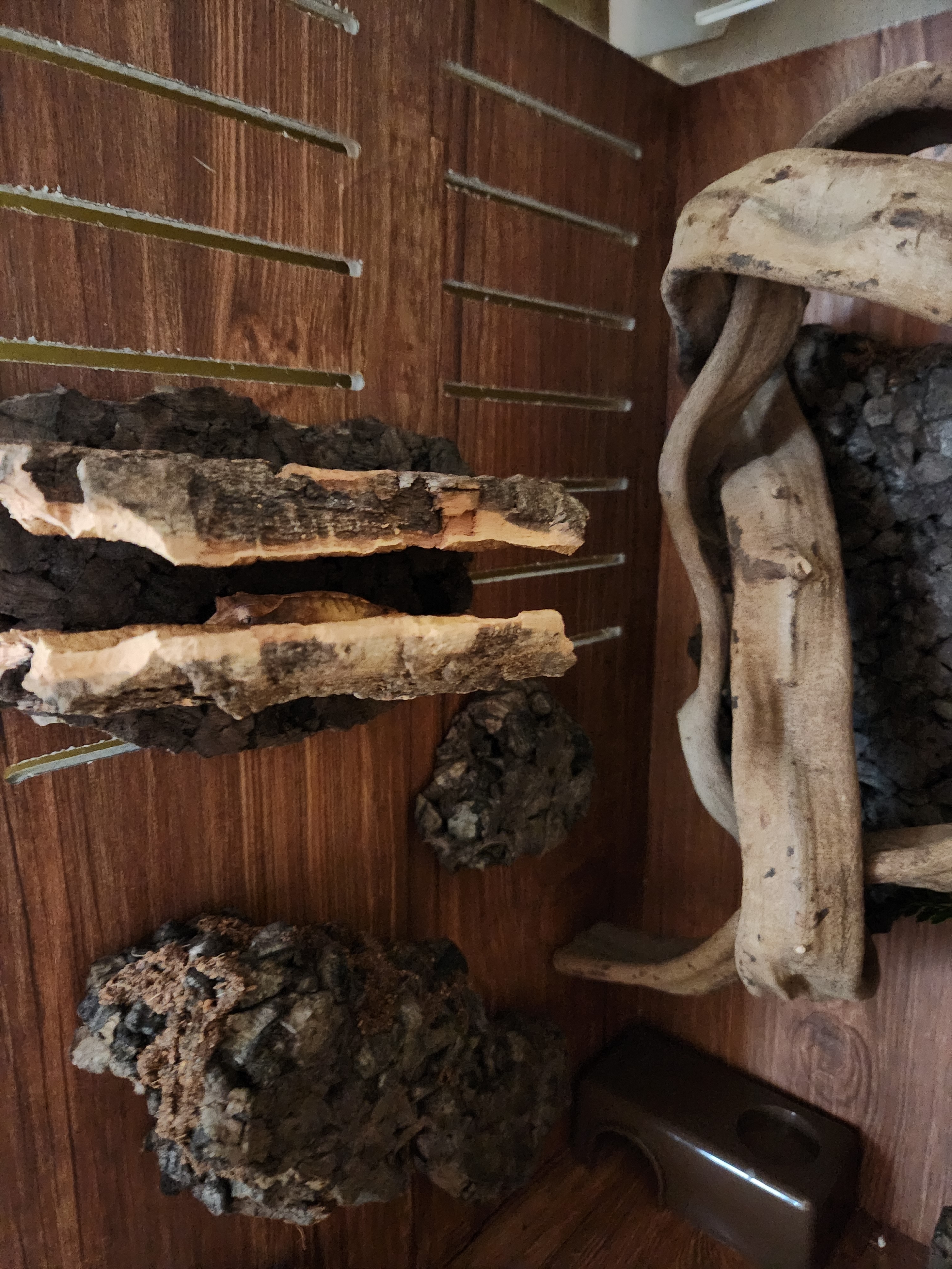 テラブロック 30 × 30 × 45 アクリル飼育ケージ ツル流木 バックスクリーン フルセット detail 6