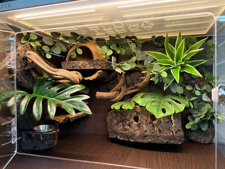 テラブロック 45×30×30 横型アクリル飼育ケージ フルセット detail 1