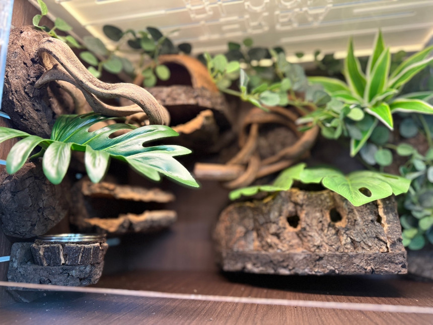 テラブロック 45×30×30 横型アクリル飼育ケージ フルセット detail 2