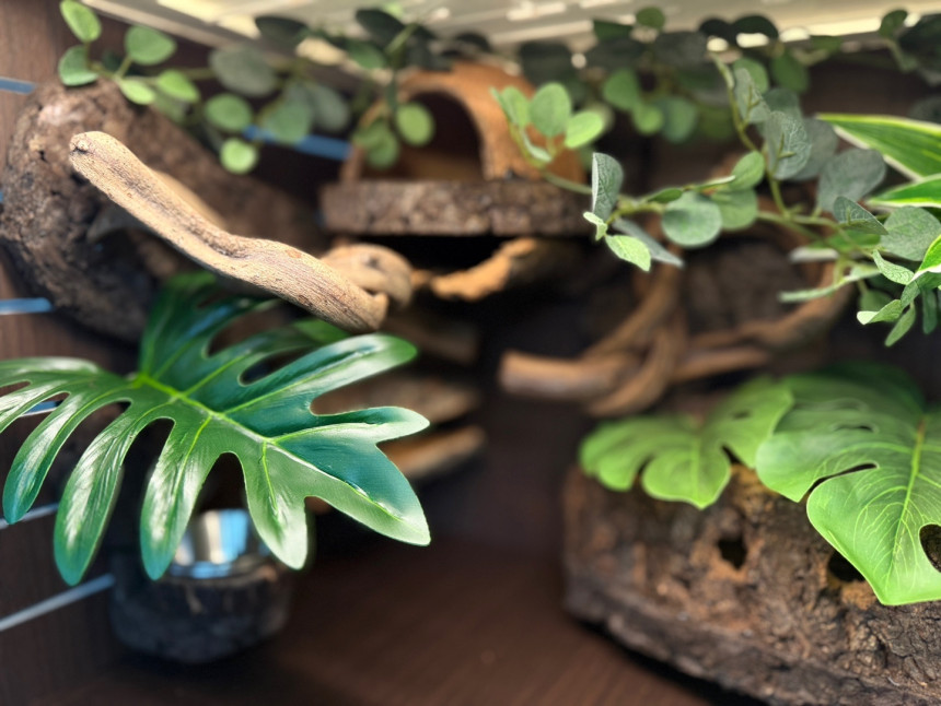 テラブロック 45×30×30 横型アクリル飼育ケージ フルセット detail 3