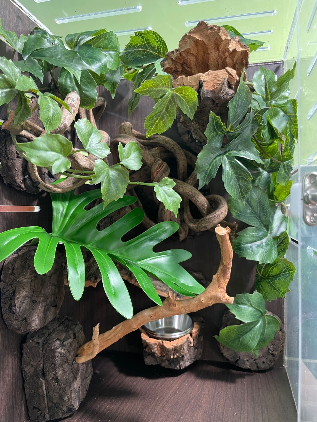 テラブロック 25×25×38 アクリル飼育ケージ メープル人工植物 フルセット detail 1